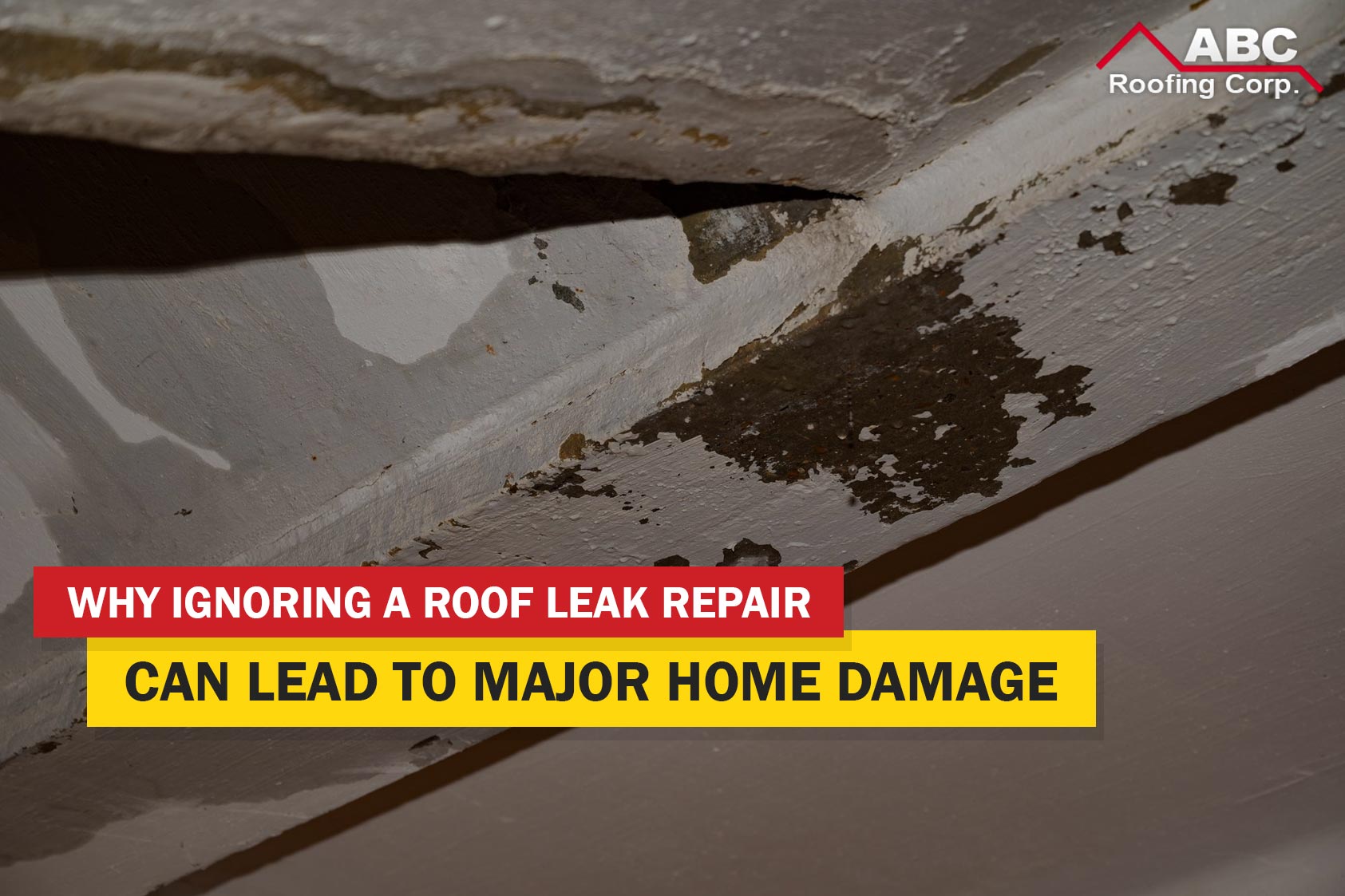 roof leak repair