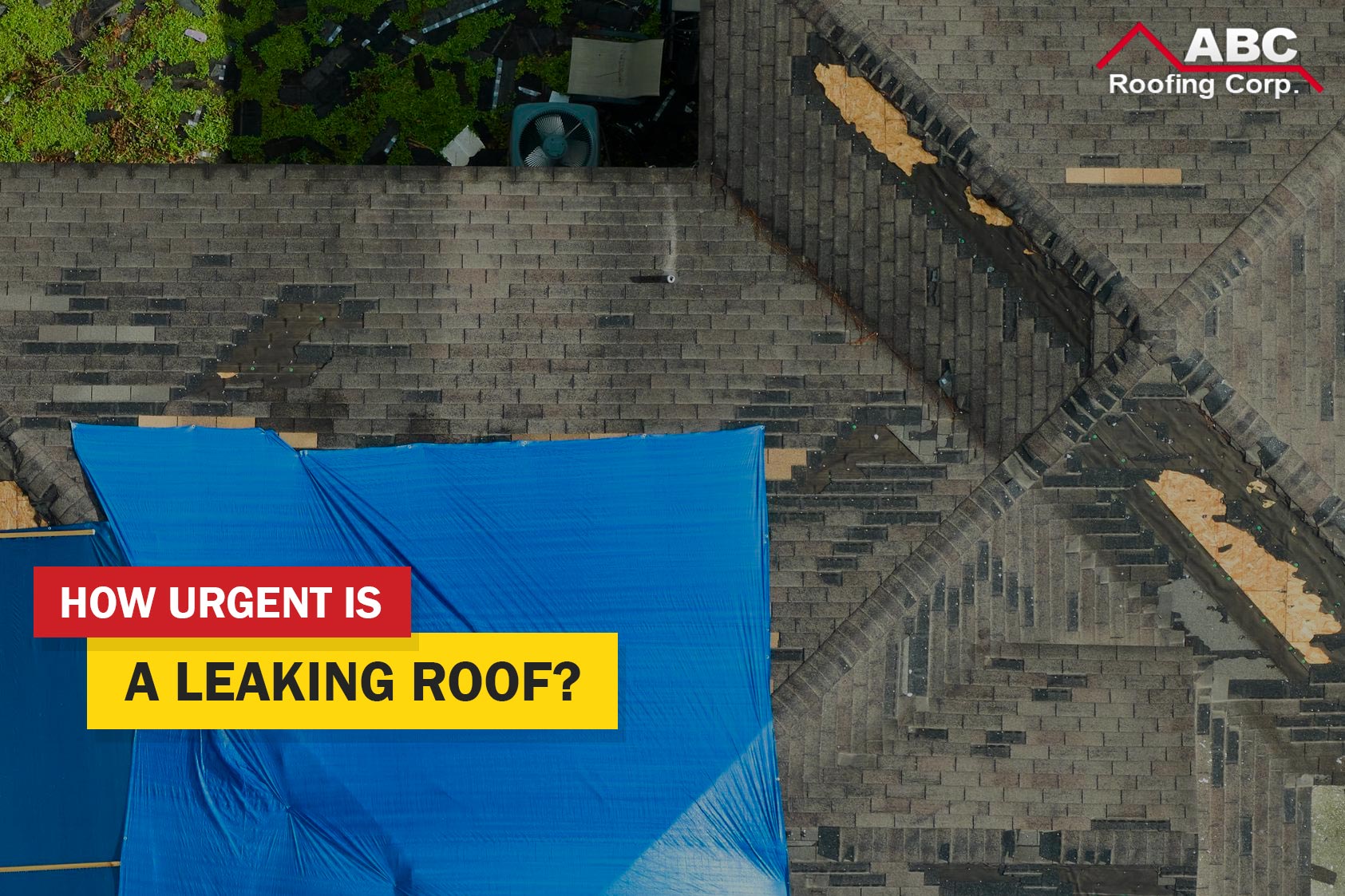 leaking roof