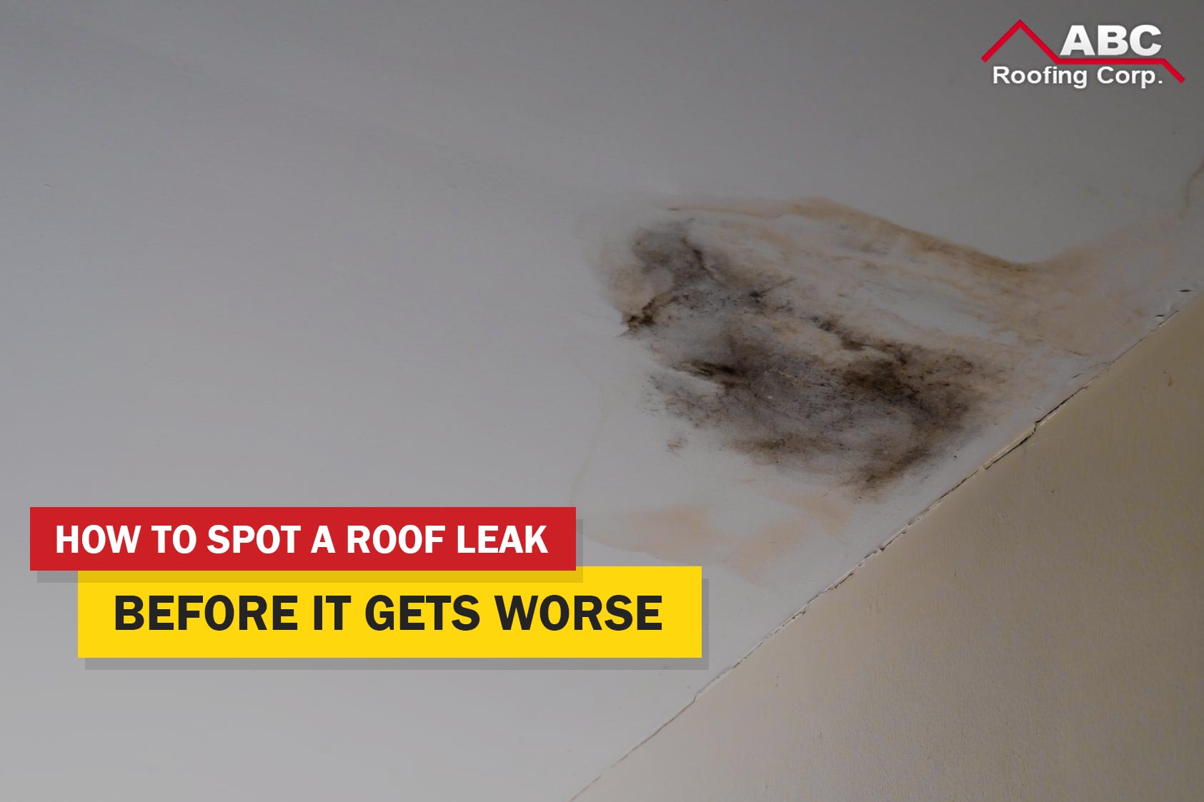 roof leak repair